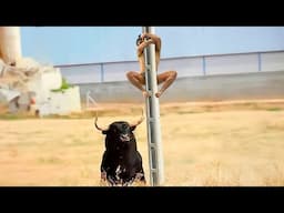 50 Incredible Animal Moments Caught On Camera!