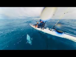 Stormy Days Fish THE BEST - Catch & Cook
