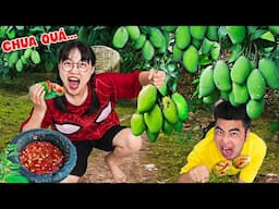 Hà Sam Một Ngày Đi Kiếm Và Ăn Tất Cả Các Loại Quả Ngoài Tự Nhiên