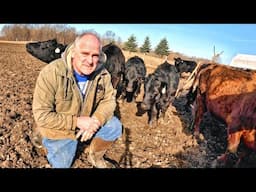 Farming in Strange Times Again