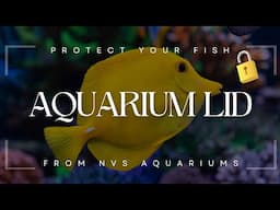 Protect Your Fish - Get an NVS Aquariums Lid!
