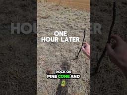 How to Navigate Using the Sun (Survival Skills)