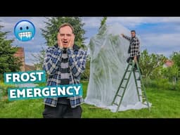 Our garden is in danger (And it's our 17th anniversary) | Life on a small farm in Central Europe