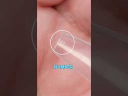 Press On Nails - One Size Fits All