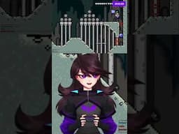 Jaiden Animations Gets Chased by Bowser for the Entire Level