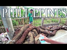 WHY EVERYONE IS TALKING ABOUT THE PHILIPPINES
