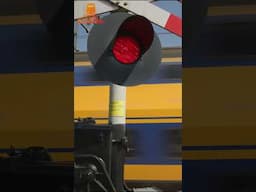 Dutch Railroad Crossing
