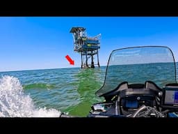 THIS is Why I Bought a Fishing JET SKI ** 16 MILES Out for these TASTY  FISH!!