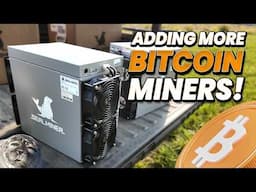 You Want To Buy These Bitcoin Miners