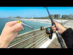 Florida PIER Fishing w/ Lures! Eating Whatever I Catch.. (Catch and Cook)