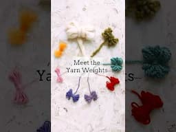Meet the yarn weight family 🧶 #knitting #crochet #yarn