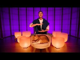 Activate Your Magnetism Sound Bath | Attract Abundance & Unlock Your Divine Feminine Energy