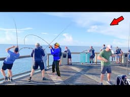 Everyone Came to the Gulf Pier for This!