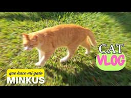VLOGUEANDO con mi gato  MINKUS! 😹Quitandole la calma a su tio Rayito!