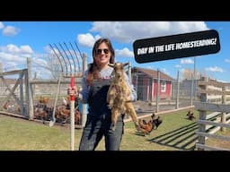 A Weekend On The Homestead | Day In The Life Homesteading