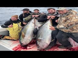 BIG FISH SEASON IS HERE! (Louisiana Giant YFT)