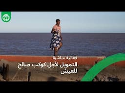 مؤتمر هامبورغ للاستدامة: حوافز وطنية لتشجيع الاستثمار في المشروعات ذات المنافع العالمية