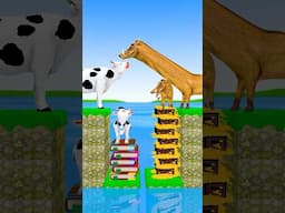 Money vs Knowledge, What do you like? #shorts  #animation