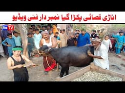 Number daar Anari Qasai Pakra Gaya Funny Video | Most Comedy Funny Video | You Tv Hd 2025