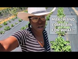 Why Black Farmers Are Not Complaining?