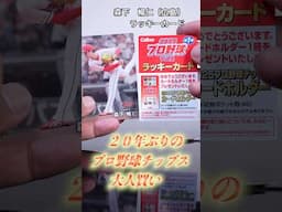 プロ野球チップスを約20年ぶりに買って大人買いした結果がコレ#shorts #プロ野球 #プロ野球チップス
