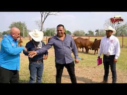 Brahman Rojo Las Huastecas Dia de Campo/ Axtla, SLP. Part.2
