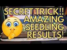 My Sneaky Little Secret to Amazing Seedling Growth!!!