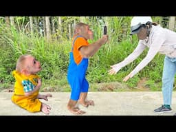 Oh no ! Baby monkey & CUTIS have special action make millions fans praise
