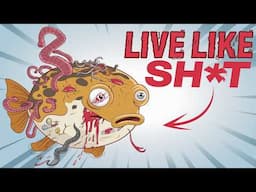 Why It Sucks to Be a Puffer Fish (Big Yikes, Bro)