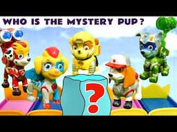 5 Jumping Paw Patrol pups trying to guess who the Mystery Pup is