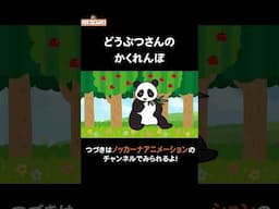 動物たちとかくれんぼであそぼう！ #nokkanaanimation #ノッカーナアニメーション #知育アニメ #shorts