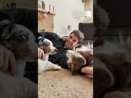 The ONE Thing My Dog Hates