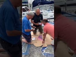 Adding a mural for the boat we are on in Faial, Horta, Azores. A fabulous tradition! #shorts