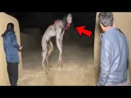 Tous ceux qui ont regardé ces vidéos n'ont pas d'explication !