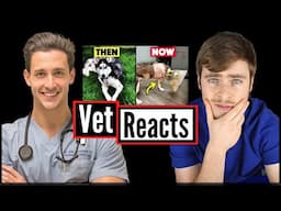 Veterinarian Reacts To Doctor Mike's Dog Losing Her Leg