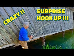 FISHING for DINNER using a CRAZY FISHING BAIT !!