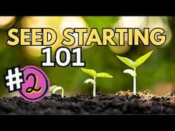 grow GREAT seedlings FAST (Part 2) Seed Starting 101