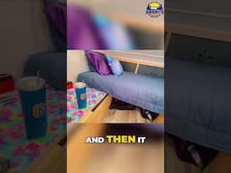 Camper Trailer Upgrade: Cozy Interior on a Budget!