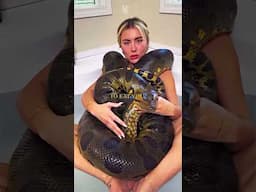 The Snake Was Starving But Not for Food #snake