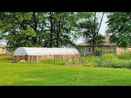 Saturday Garden Walk Through May 31, 2025