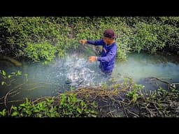 5 Hari berburu dimusim panen padi dapat banyak ikan diperangkap & kerumah pohon 30 meter!!! #KOOKIKO