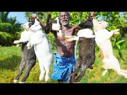 WILD RABBIT FRY RECIPE | முயல் வேட்டை | Spicy Village Food | Handmade Masalas | Grandpa Show