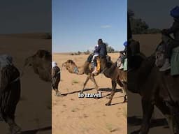 15 Mile Camel Ride (so painful!) 🐪