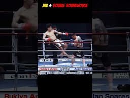 Best Kicks 🔥😍 #kicks #mma #taekwando #martialarts #kungfu #shortsfeed #ytshorts