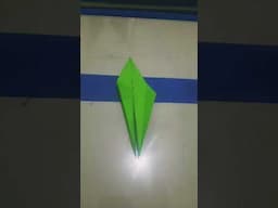 Origami Crane Bangau