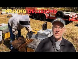 Beekeeper Shuts Down a Bee Yard and  Makes  Decisions on the Fly