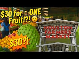 FARMERS MARKET ($30 for ONE Fruit?!) 😳 + Surprise Mukbang! - @HoldenItDown