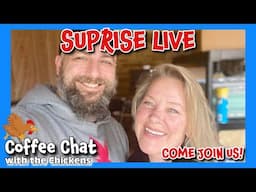 Random conversation!! tiny house homesteading cabin build DIY HOW TO sawmill tractor tiny cabin VLOG