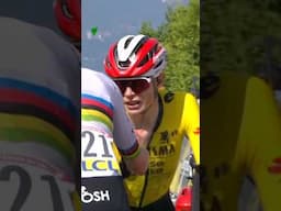 RESPECT 🇸🇮🤝🇩🇰 #Pogacar #Vingegaard #Dauphine