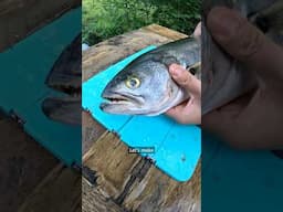 You Have to Bleed this Fish #shorts #fishing